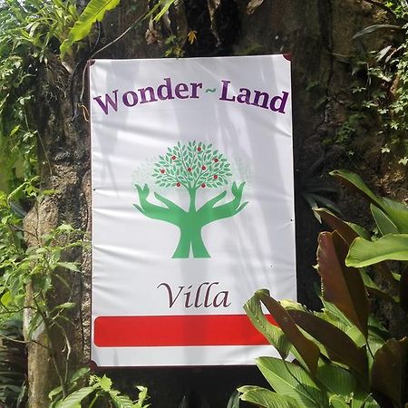 Wonder-Land Villa 우붓 외부 사진